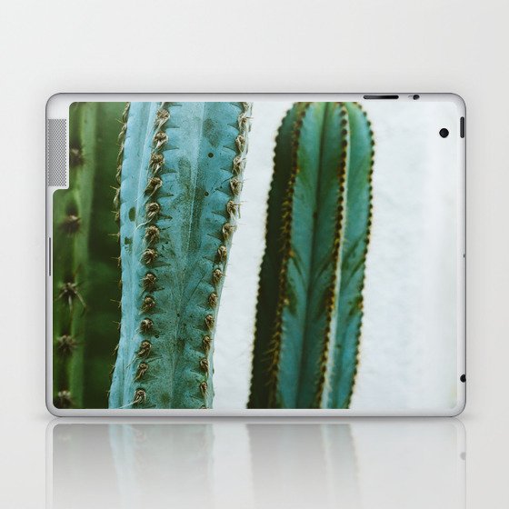 California Cactus Garden II Laptop & iPad Skin