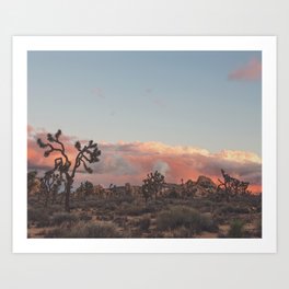 Joshua Tree Sunset Photograph. No. 2 Art Print