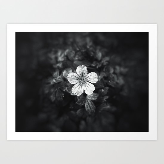 Minimalistic black and white flower petal Art Print