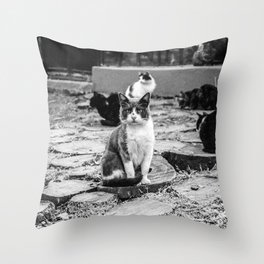 Street Cats of Buenos Aires Throw Pillow