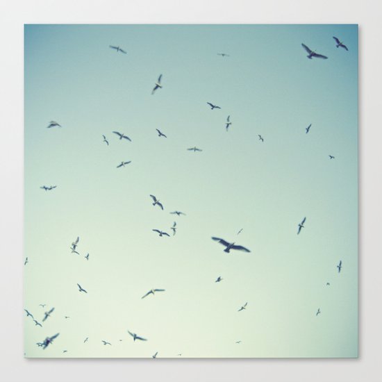 Birds Canvas Print