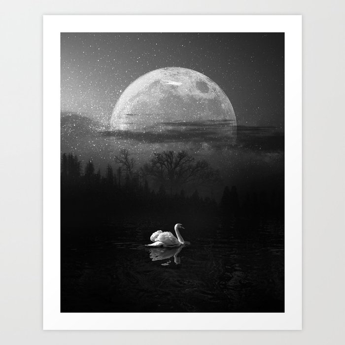 Lonely Swan in the Lake Black & White Art Print