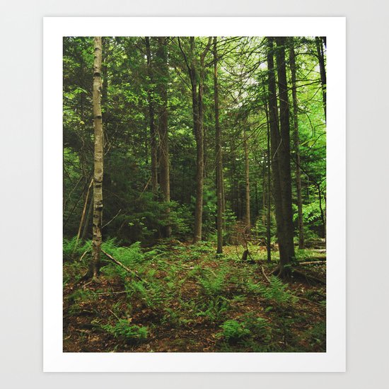 Pathfinder II Art Print