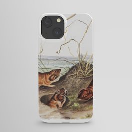 Columbia Pouched Rat  from the viviparous quadrupeds of North America (1845) illustrated by John Woodhouse Audubon  iPhone Case