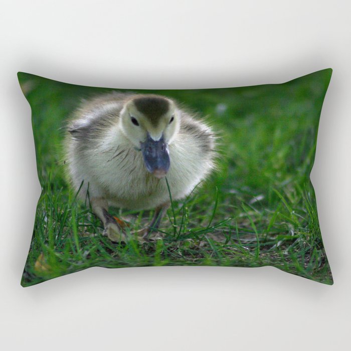 Cute Duckling Walking on a Lawn Rectangular Pillow