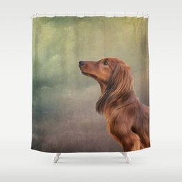 Dog breed long haired dachshund portrait oil painting Shower Curtain