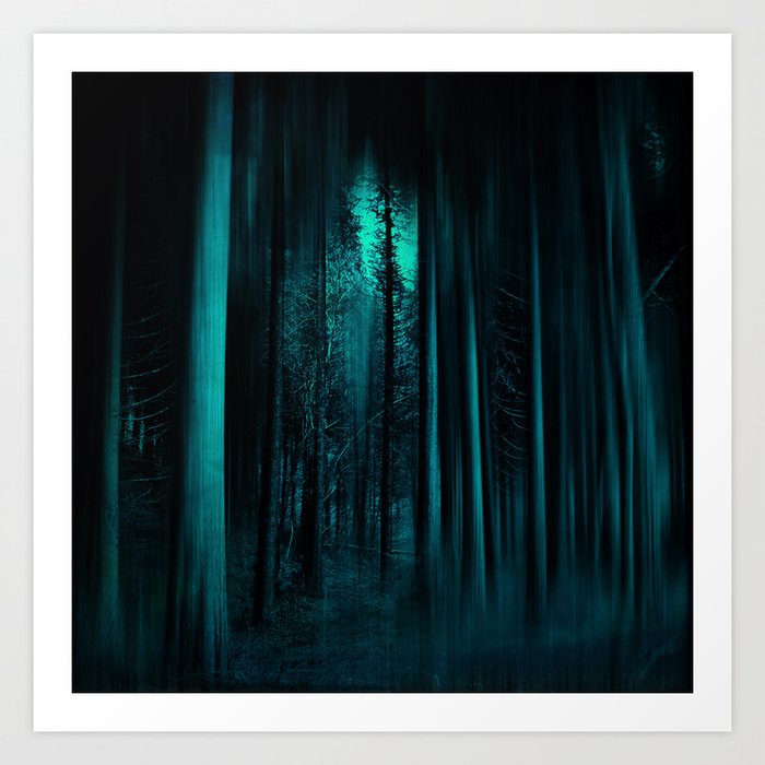 Forest Of Secrets Forest Of Secrets