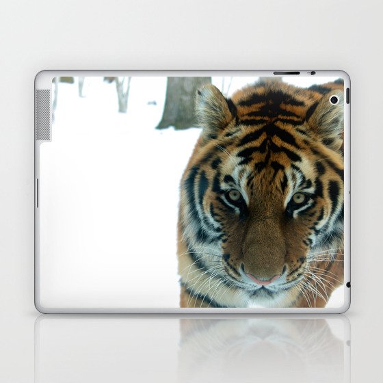 Tiger Eyes Laptop & iPad Skin