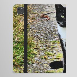Friendly Cat of the Scottish Highlands in I Art iPad Folio Case
