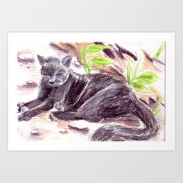 Sleeping Cat Sketch Art Print | Animal, Nature, Illustration 