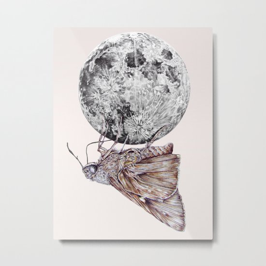 In which a moth is enticed by the light of the moon Metal Print