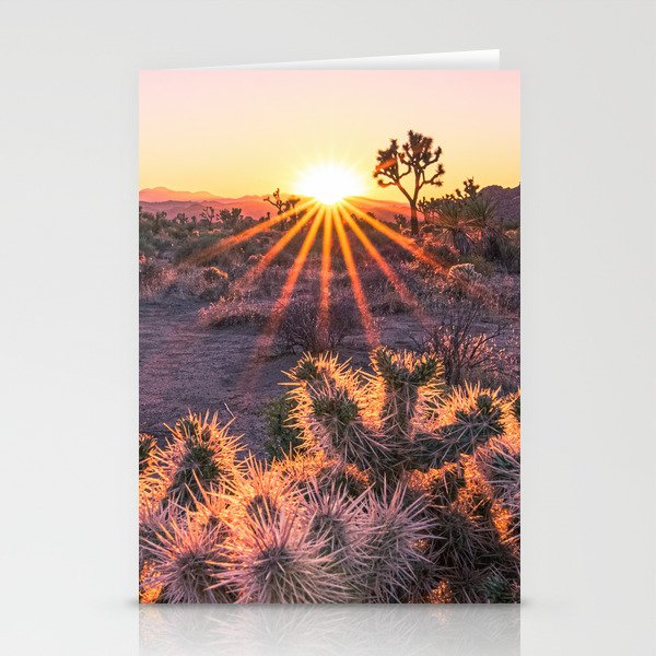 Joshua Tree Cholla Cactus Sunset Stationery Cards