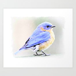 Blue bird in watercolor effect Art Print