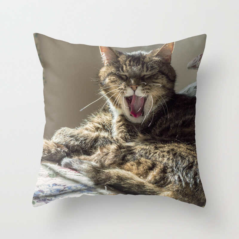 The Laughing Cat Throw Pillow By Attemptingpatti Society6