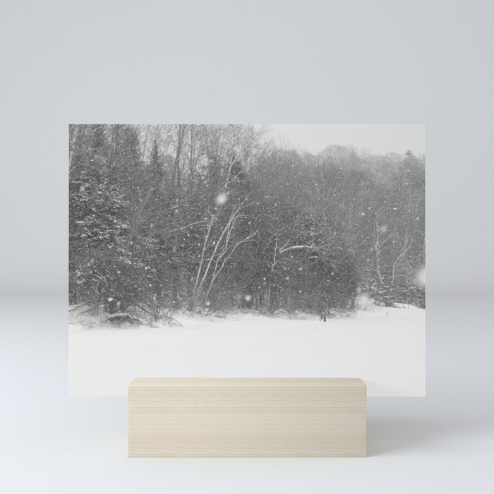 Snow storm on the lake Mini Art Print