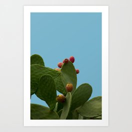 tropical, summer, cactus with a sea  blue color background Art Print