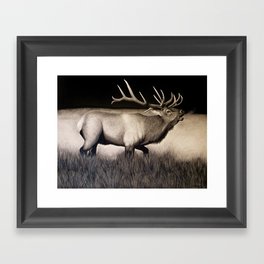 Bull Elk Framed Art Print
