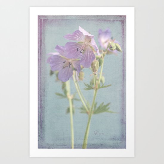 meadow beauties Art Print