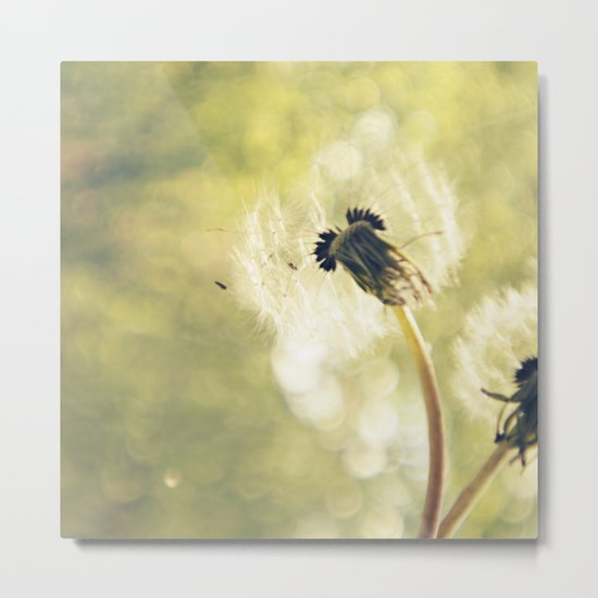 Daydreams Metal Print