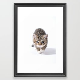 Adorable Kitten Sneaking  Framed Art Print