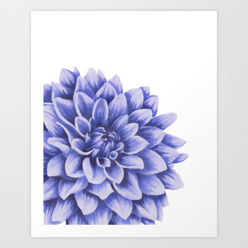 Big Flower Purple Chrysanthemum Art Print By Melafaypopart Society6