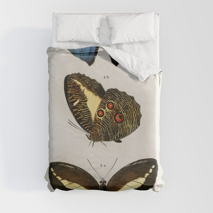 Different Types of Butterfly Duvet Cover