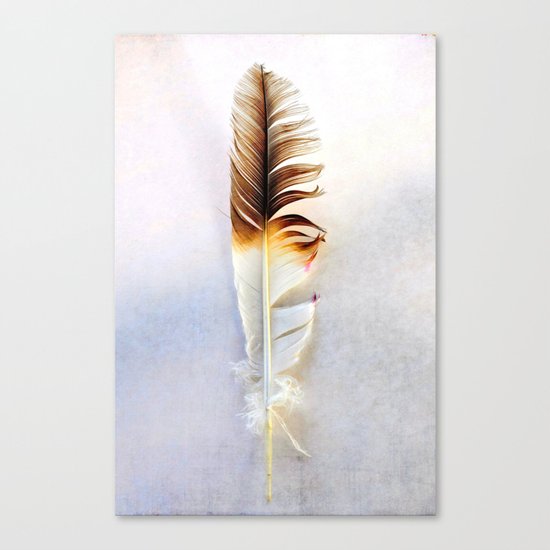 FEATHER LIGHT Canvas Print
