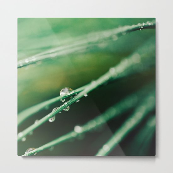 April Showers Metal Print