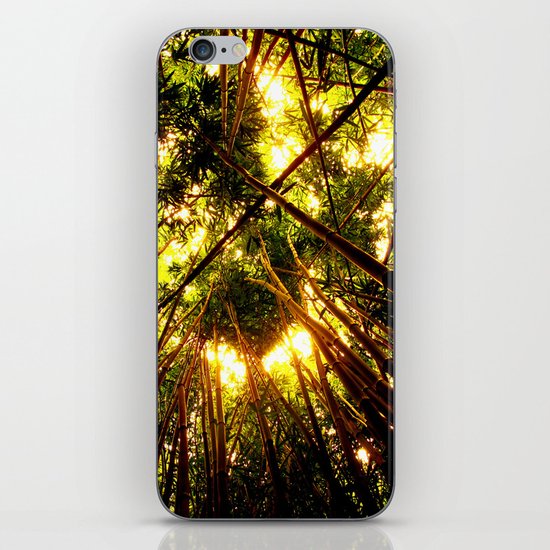 Bamboo Forest iPhone Skin