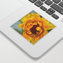 Yellow Calendula Flower Sticker