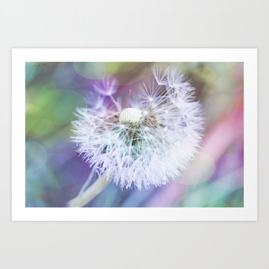 Biðukolla Art Print