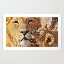 lioness lion muzzle caring big cat Art Print