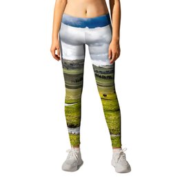 Yellowstone, Home on the range, American buffalo / bison grazing in spring fields of green river prairie landscape color photograph / photography Leggings | Wilderness, Colorado, Rockymountains, Buffalo, Americanwest, Yellowstone, Oldwest, Wyoming, Steppe, Grazing 