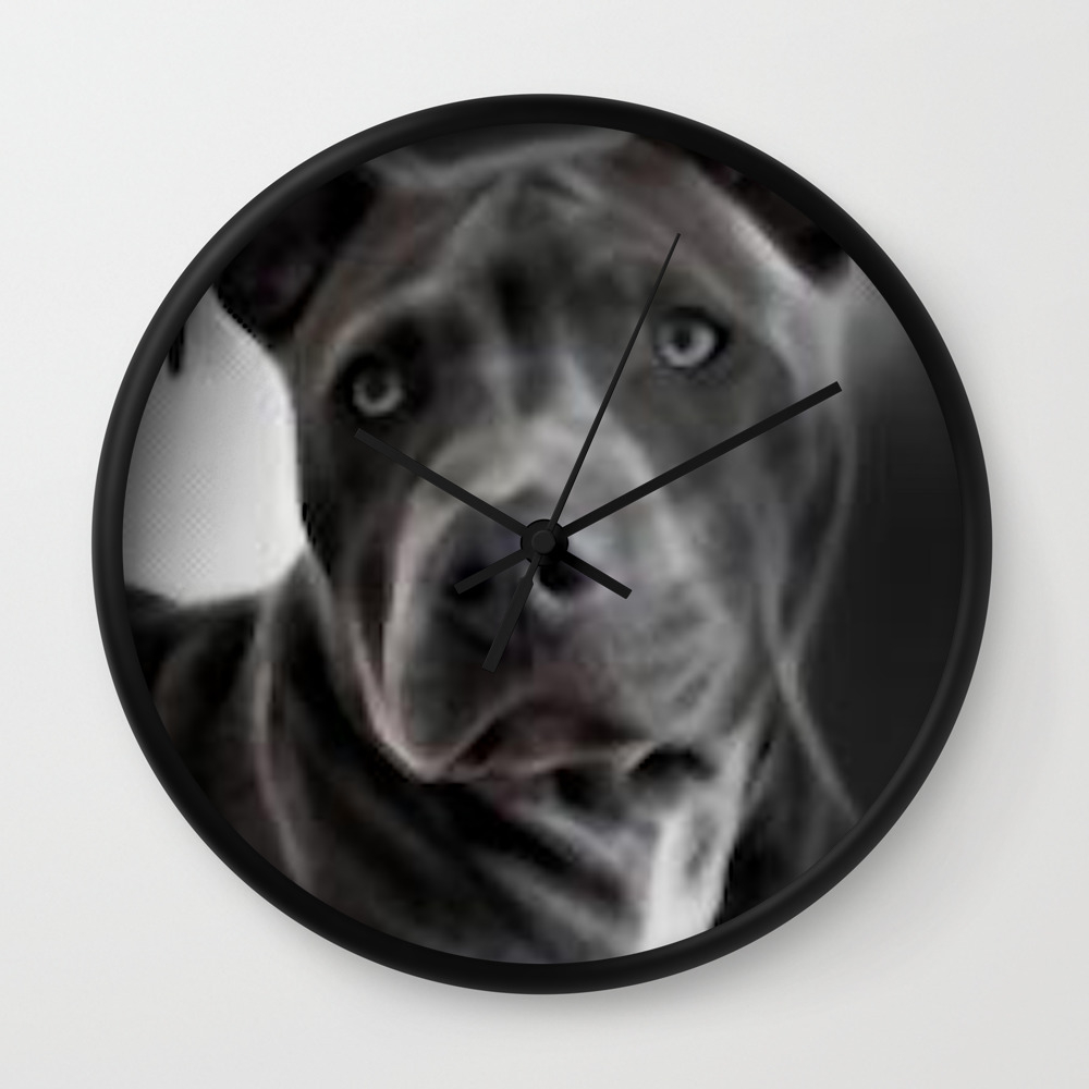 society6