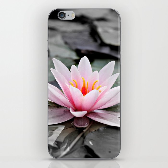 Pink Lotus Flower Waterlily iPhone Skin