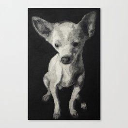 Chihuahua dog  Canvas Print