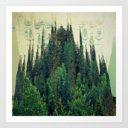 Forest Cathedral Art Print
