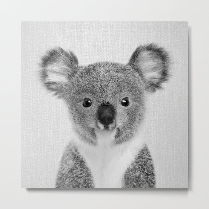 Baby Koala - Black & White Metal Print