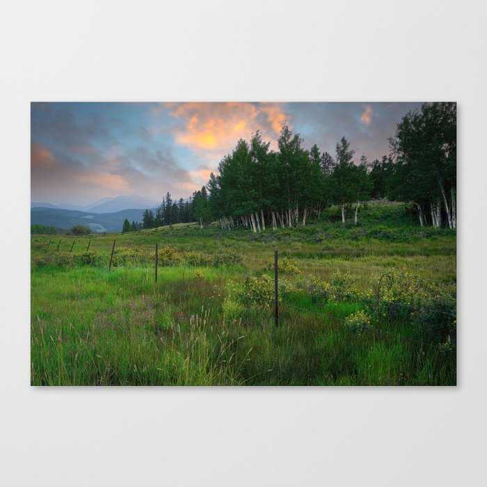 Alpine Meadow Sunrise Canvas Print