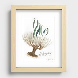 Whomping Willow Botanical Art Recessed Framed Print
