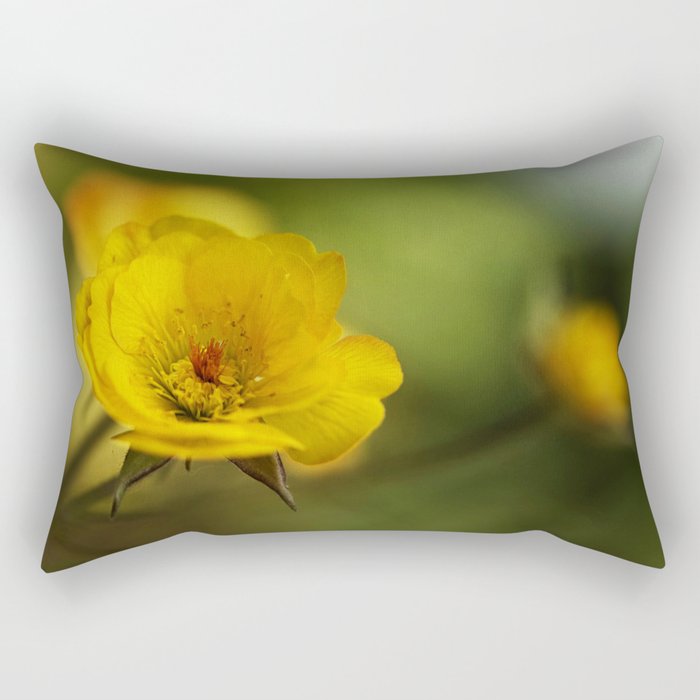 yellow. Rectangular Pillow