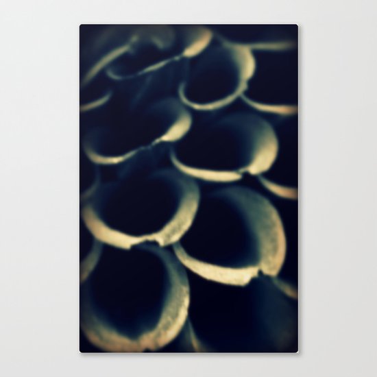 Waves Canvas Print