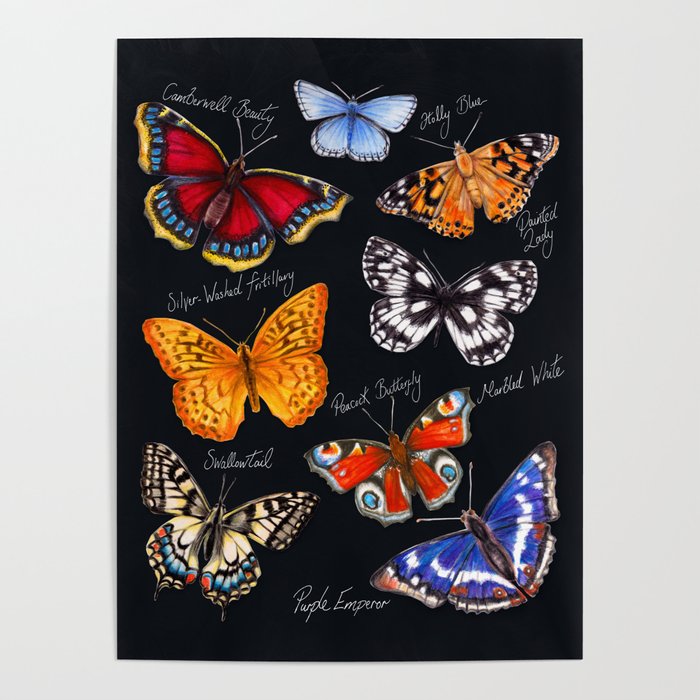 Butterflies On Black Poster