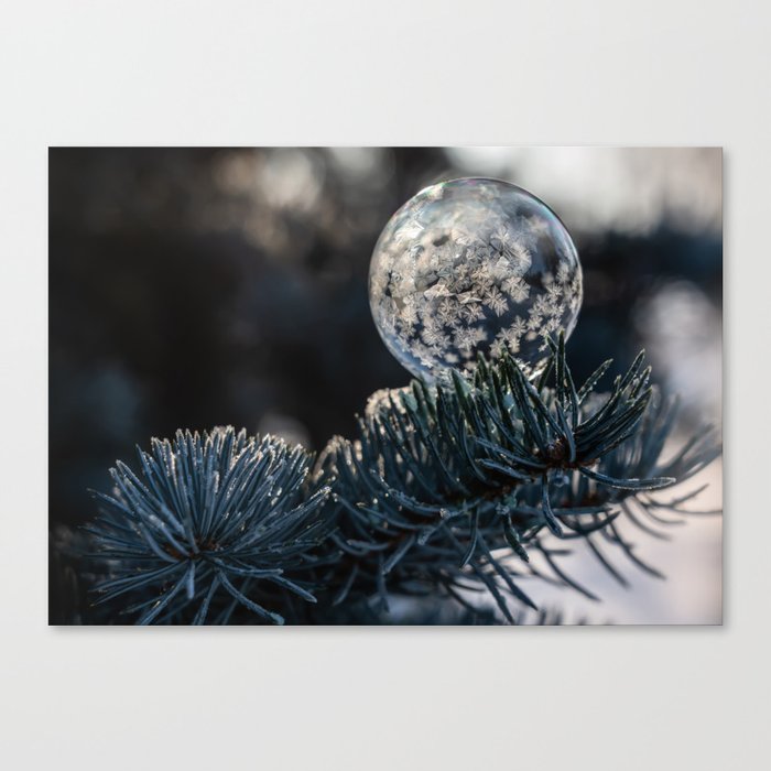 Frozen bubble with multiple stars Canvas Print
