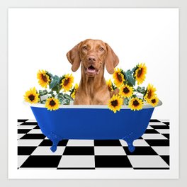Weimaraner Dog Bathtub Sunflowers Art Print