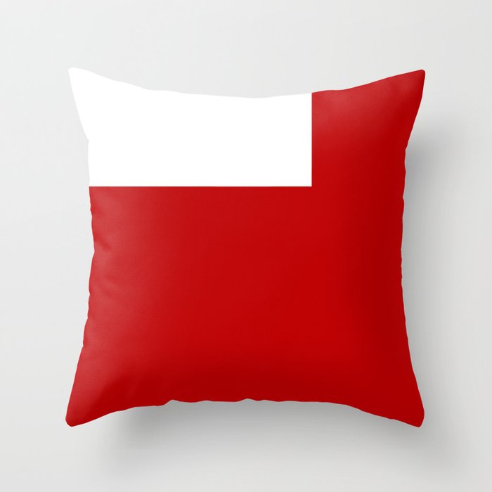 Flag of Abu Dhabi, UAE Throw Pillow by oldking Society6