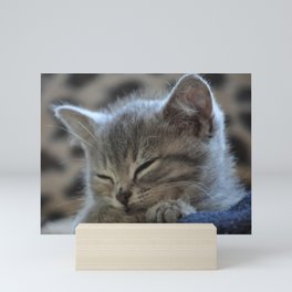British Shorthair Cat Mini Art Print
