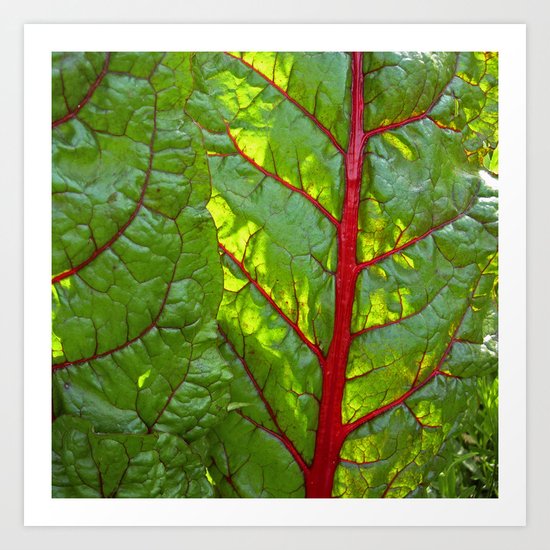 bloodstream III Art Print