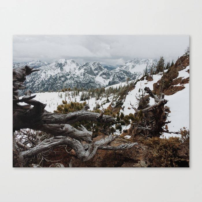Wenatchee National Forest Canvas Print