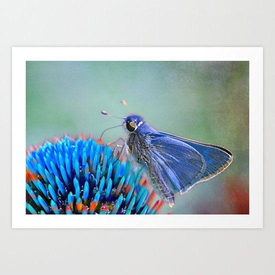 Why Not? Art Print